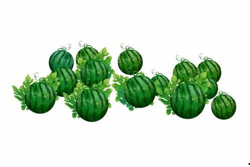 阿逐吃瓜,揭秘娱乐圈幕后故事