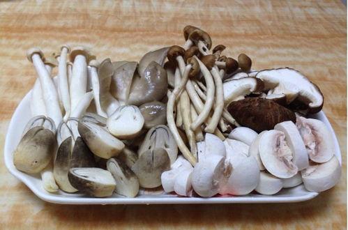 凤瓜菇怎样吃,探索美味与营养的完美融合