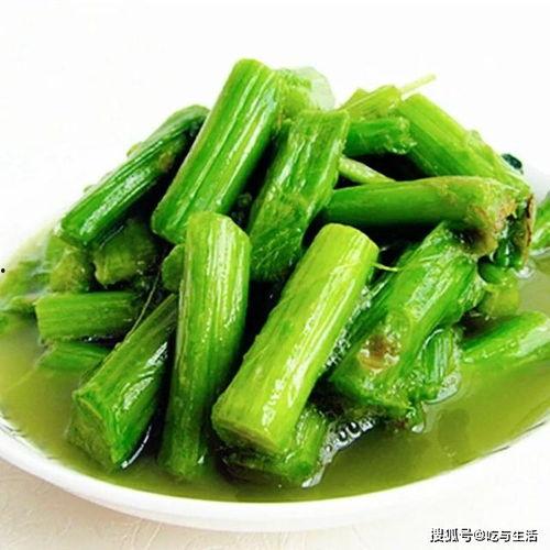 浙农林吃瓜截图,一场别开生面的“瓜界”狂欢