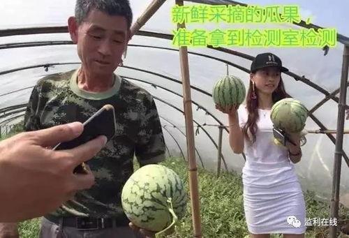 吃瓜直播哀牢山