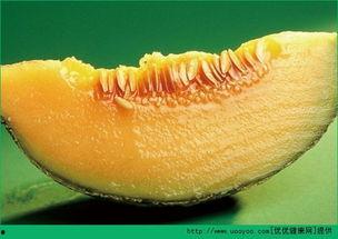 哈密瓜什么时段吃