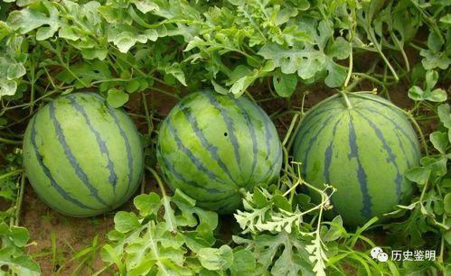 边看新闻边吃瓜,揭秘娱乐圈幕后故事