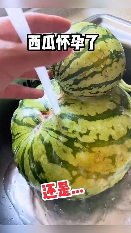 唐山吃瓜搞笑视频,一场欢乐的视觉盛宴