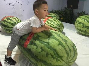 武进吃瓜群众事件