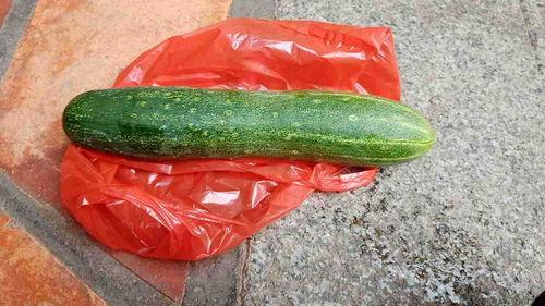 有瓜可以吃,尽享清凉美味