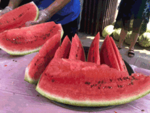 白鹿吃瓜的图片,揭秘宫廷生活一幕