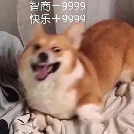 把吃瓜变成吃狗头,网络热词的演变与趣味