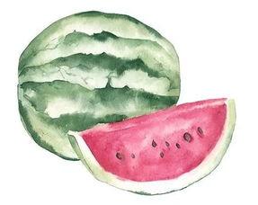 吃瓜3号大号,网络红人的崛起之路