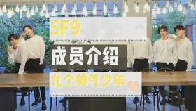 仓鼠会吃哈密瓜吗,哈密瓜在它们餐盘中的地位