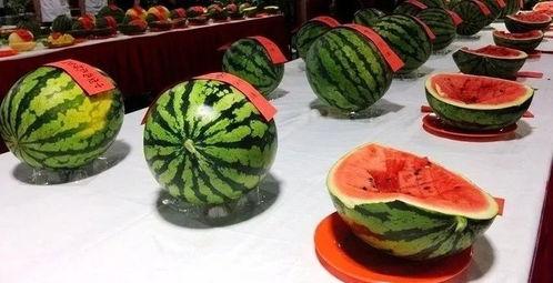 梁梁吃瓜酱,揭秘娱乐圈幕后故事