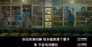 豆瓣吃瓜集中楼