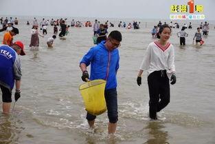 赶海吃瓜,尽享夏日海滨美食盛宴