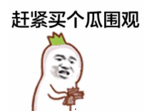 吃瓜忽视,忽视细节，聚焦热点