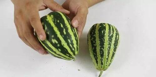 小瓜什么季节吃,夏季必尝的时令美味