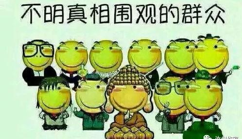 吃瓜 电话,网络热议背后的真相与反思