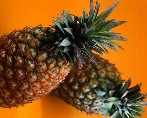 吃瓜可以吃菠萝吗