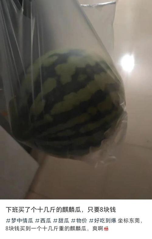 东莞吃瓜,吃瓜群众的味蕾盛宴