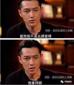 胡歌吃瓜品质,娱乐圈的“瓜王”揭秘