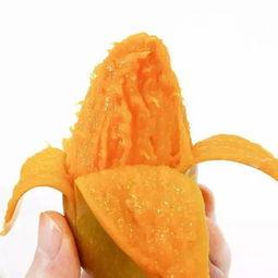 夏芒芒吃瓜,夏芒芒的瓜田奇遇记