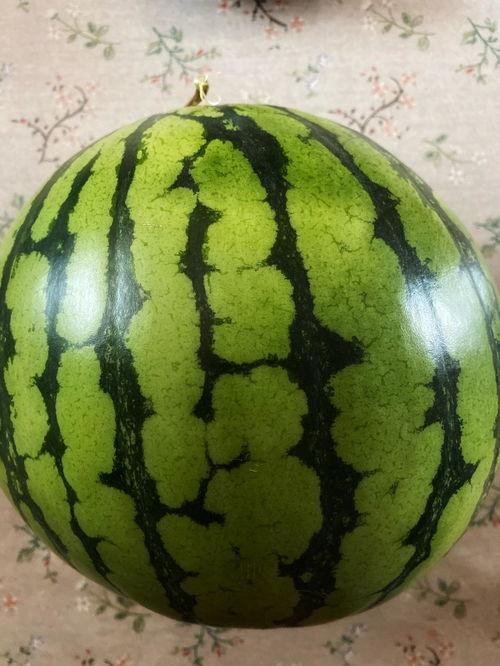 台湾表演吃瓜视频,明星大厨现场“吃瓜”秀，网友直呼太接地气！