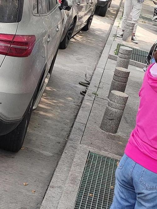 吃瓜女的上车,揭秘娱乐圈幕后风云