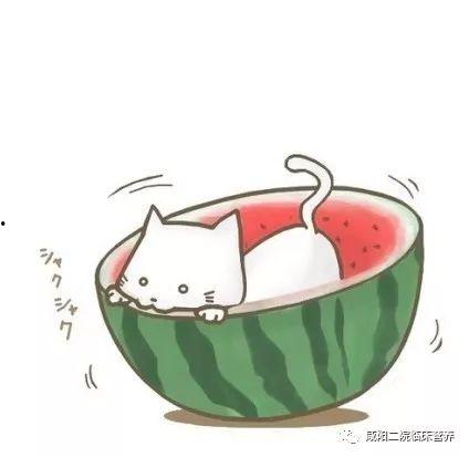 动漫互相吃瓜,一场跨越次元的吃瓜大作战