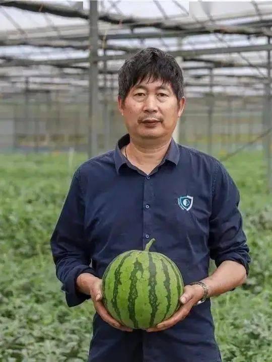 宜兴吃瓜群众,吃瓜群众的热议焦点