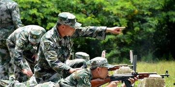 中国吃瓜群众民兵视频