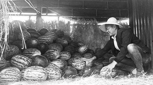 沅陵吃瓜群众,揭秘当地生活百态