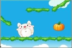 吃瓜的仙女兔,揭秘奇幻世界的甜蜜生活  第2张