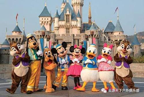 上海迪士尼吃瓜组  第2张