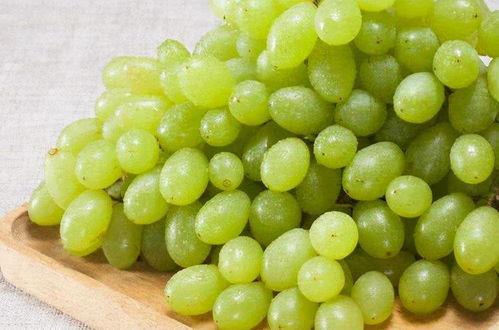 提子视频吃瓜事件,揭秘网络舆论的狂欢与反思  第2张