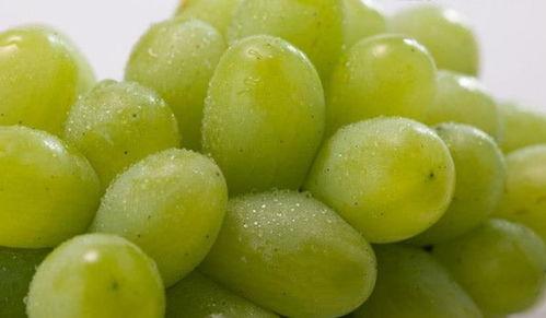 提子视频吃瓜事件,揭秘网络舆论的狂欢与反思  第3张