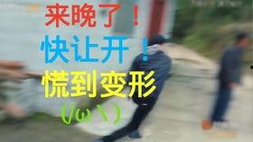 免费吃瓜日常 第2张 免费吃瓜日常 第2张