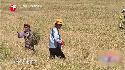 大头吃瓜群众,揭秘网络热议背后的真相与笑料 第3张 大头吃瓜群众,揭秘网络热议背后的真相与笑料 第3张