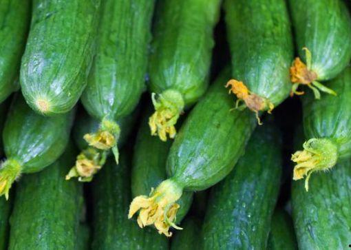 小瓜心可以吃吗  第3张